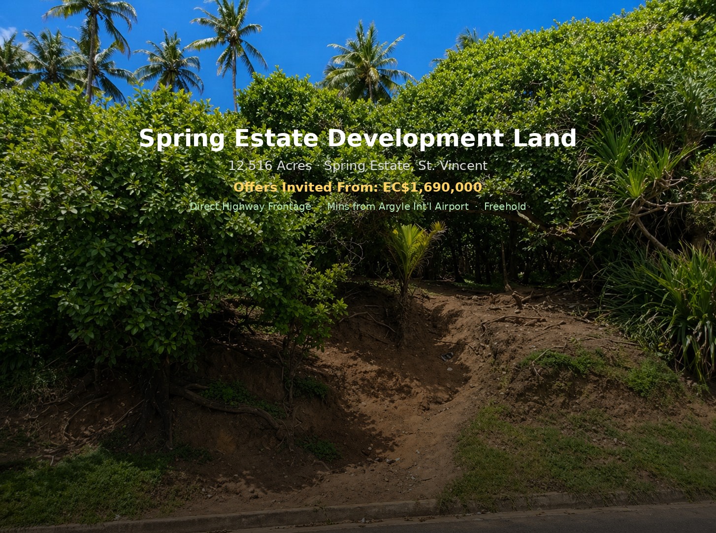 Spring_Estate_Developmentland